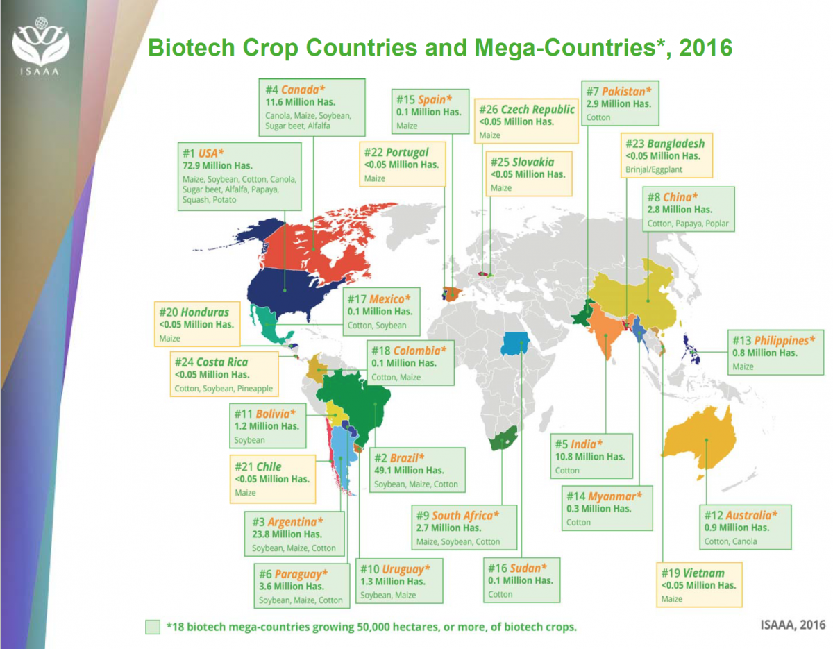 Biotech Crop Countries 